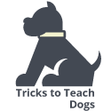 WWW.TRICKSTOTEACHDOGS.COM