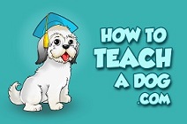 WWW.HOWTOTEACHADOG.COM