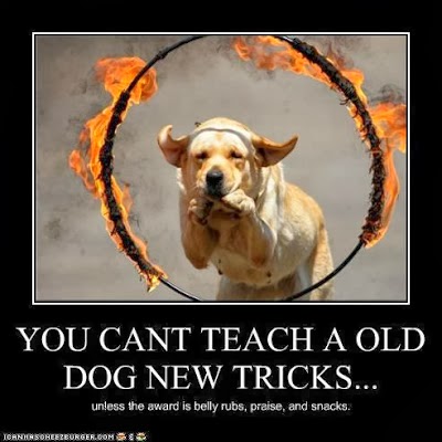 Dog Tricks, Obedience, Dog Training & Teaching Techniques & Video