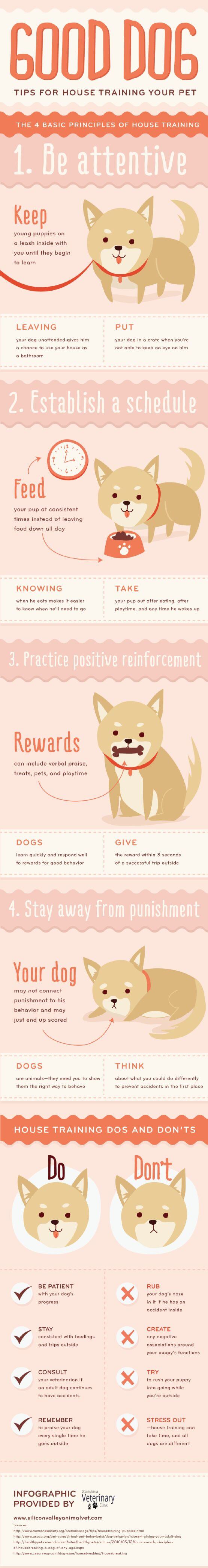 Dog Tricks, Obedience, Dog Training & Teaching Infographics & Infograms