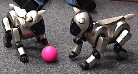 BEST ROBOT DOG TOYS FOR KIDS - BUYING GUIDE