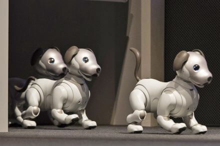 SONY AIBO ROBOT DOG