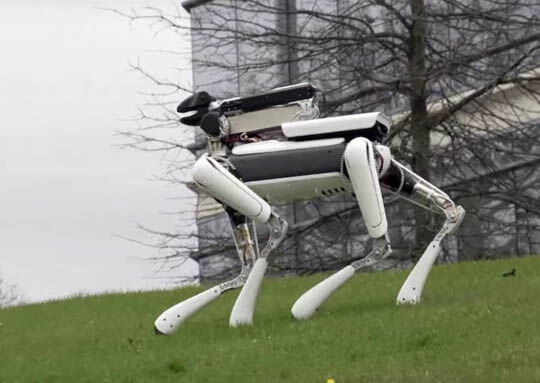 BOSTON DYNAMICS ROBOTIC DOGS - THIS PHOTO COURTESY of BOSTON DYNAMICS