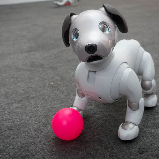 SONY AIBO ROBOT DOG