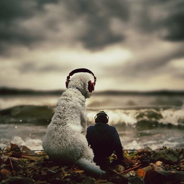 DOG ART PHOTOGRAPHY by CRHIS CLINE