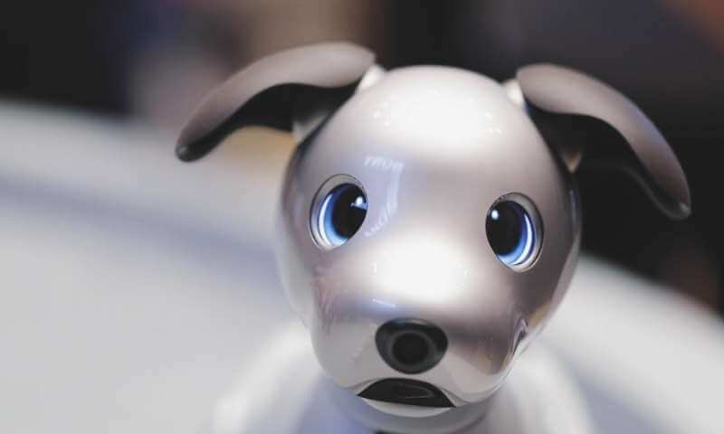 http://www.dogica.com/dogpuppy/Food-Breed/dogs-robots.jpg