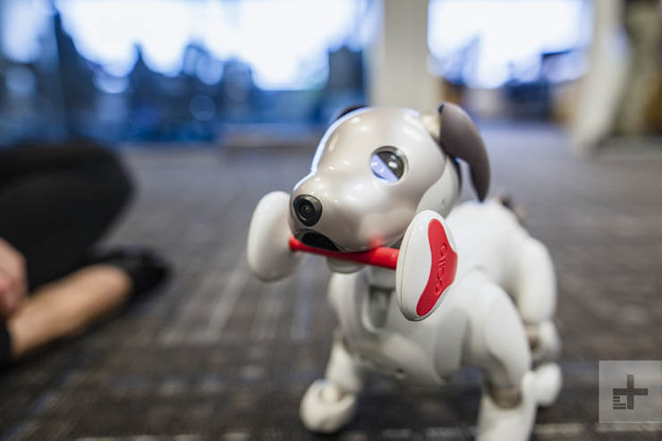 SONY AIBO ROBOT DOG