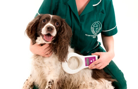 Dog Microchipping, Scanners, Implants, ID