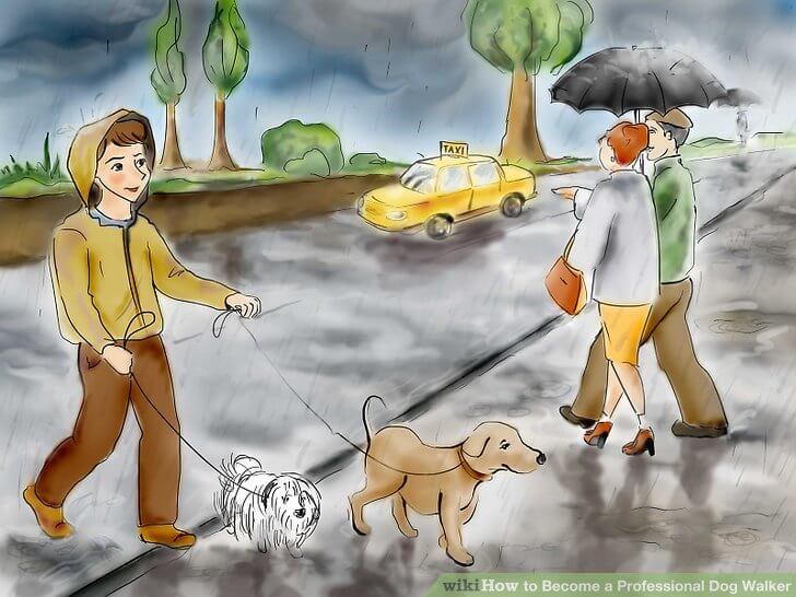 HOW TO WALK A DOG