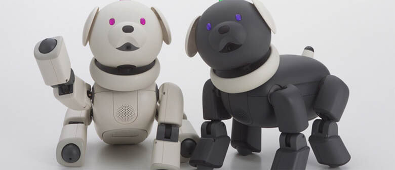 24 BEST ROBOT DOG TOYS FOR KIDS