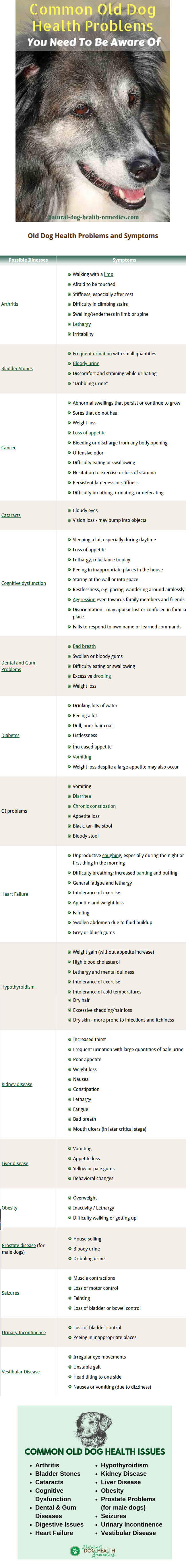 SIGNS & SYMPTOMS OF AGEING, SENIOR AND OLD DOG - courtesy of WWW.NATURAL-DOG-HEALTH-REMEDIES.COM !