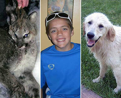 Heroic, Brave, Life-Saving Dogs