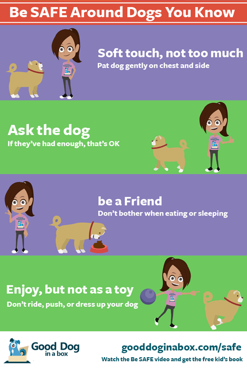 Why Do Dogs Bite Kids & Children?