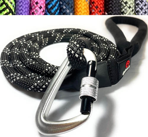 DOG LEASH TYPES