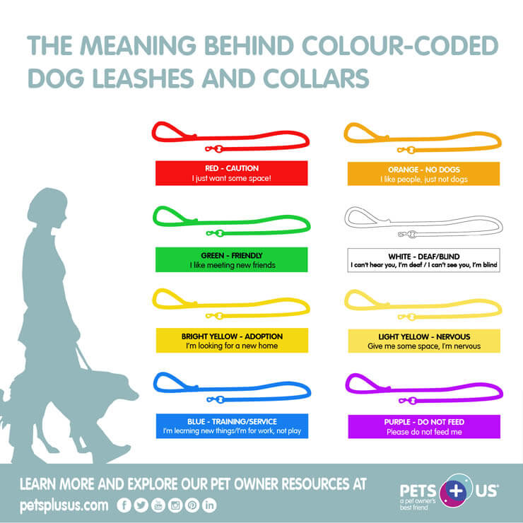 MEANING OF COLORED DOG LEASHES