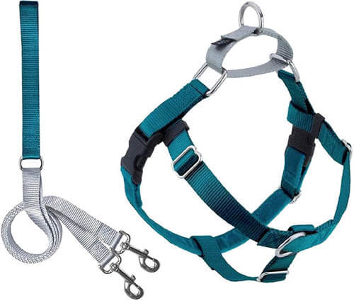 DOG LEASH TYPES