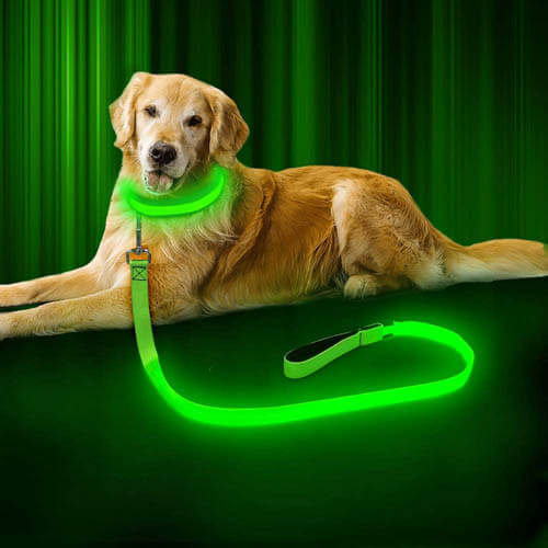 Secure Patented Safelatch Heavy Duty Dog Leash Limits Leash Escape  Medium/large 