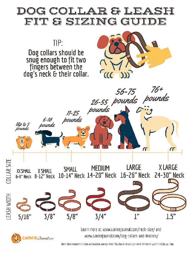 DOG LEASH SIZE - THIS INFOGRAFICS courtesy of WWW.CANINEJOURNAL.COM