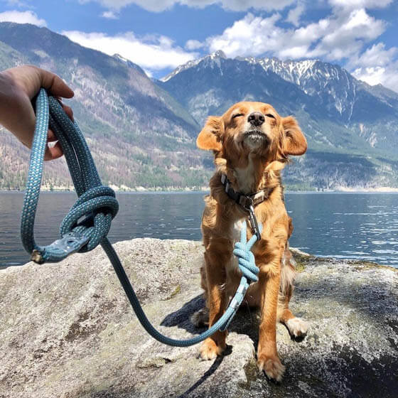 HOW TO PROPERLY HOLD THE LEASH