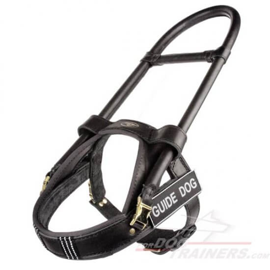 DOG HARNESS TYPES