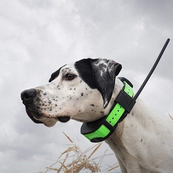 GPS & TRACKING DOG COLLARS