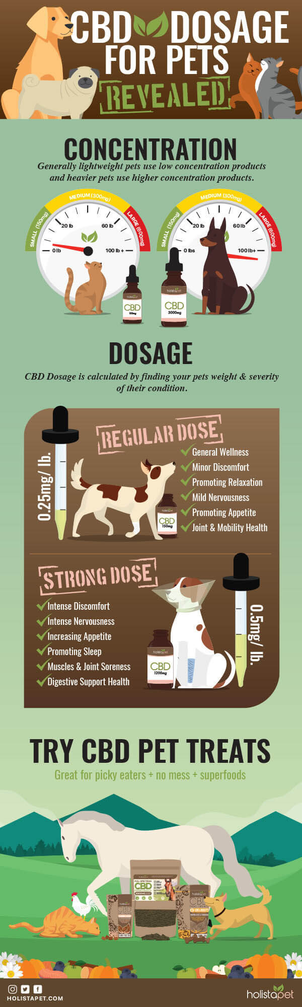 HOW MUCH CBD OIL TO GIVE TO DOGS? CBD OIL DOZING INSTRUCTIONS & CALCULATOR