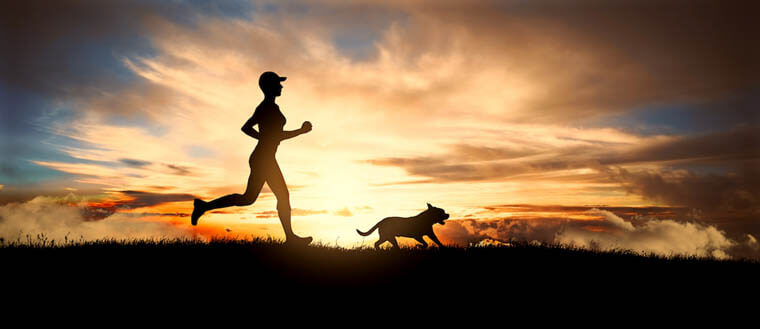 HOW TO TRAIN YOUR DOG TO RUN WITH YOU