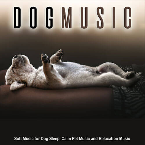 MUSIC FOR DOGS and PUPPIES - THIS IMAGE COURTESY OF ISTOCKPHOTO.COM !