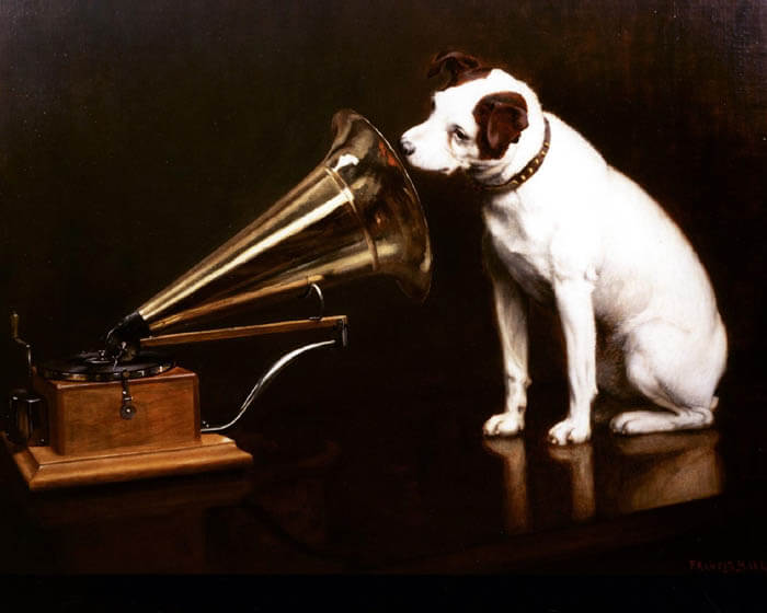 HOW DOES MUSIC AFFECT A DOG