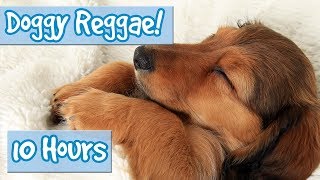 Dog Reggae Music