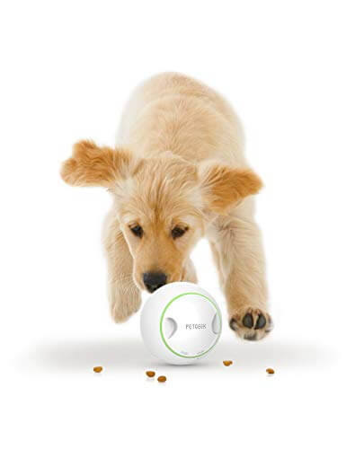 BEST TOYS FOR DEAF DOGS