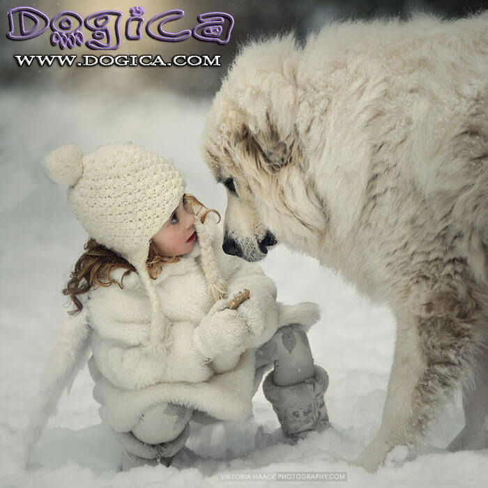 DOG vs KIDS - This image (c) by Viktoria Haack !