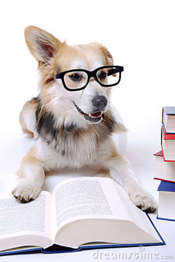 Dog Books