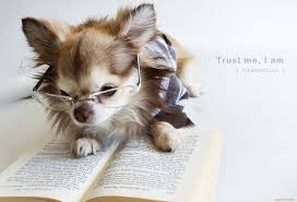 Dog Book, Dog E-BOOKS