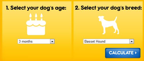 Dog Age Calculator