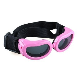 BEST SUNGLASSES FOR DOGS