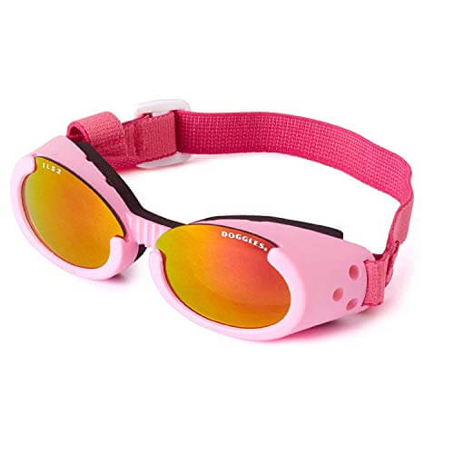 BEST SUNGLASSES FOR DOGS