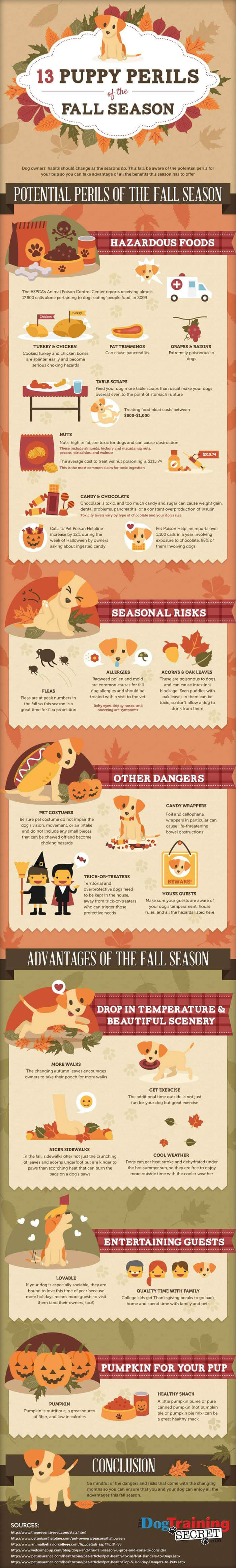 PUPPY INFOGRAPHICS - PRESS TO SEE IN FULLSIZE