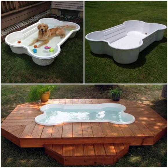 Dog Pools, Underwater Dogs and Puppies