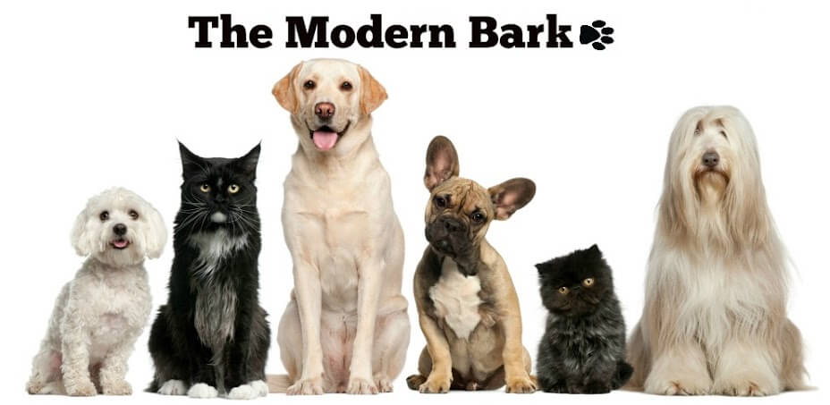 THE MODERN BARK