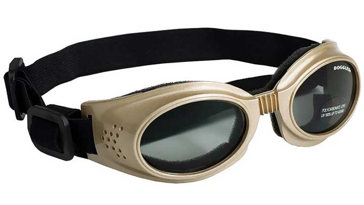 BEST SUNGLASSES FOR DOGS