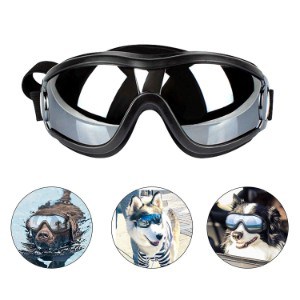 BEST SUNGLASSES FOR DOGS