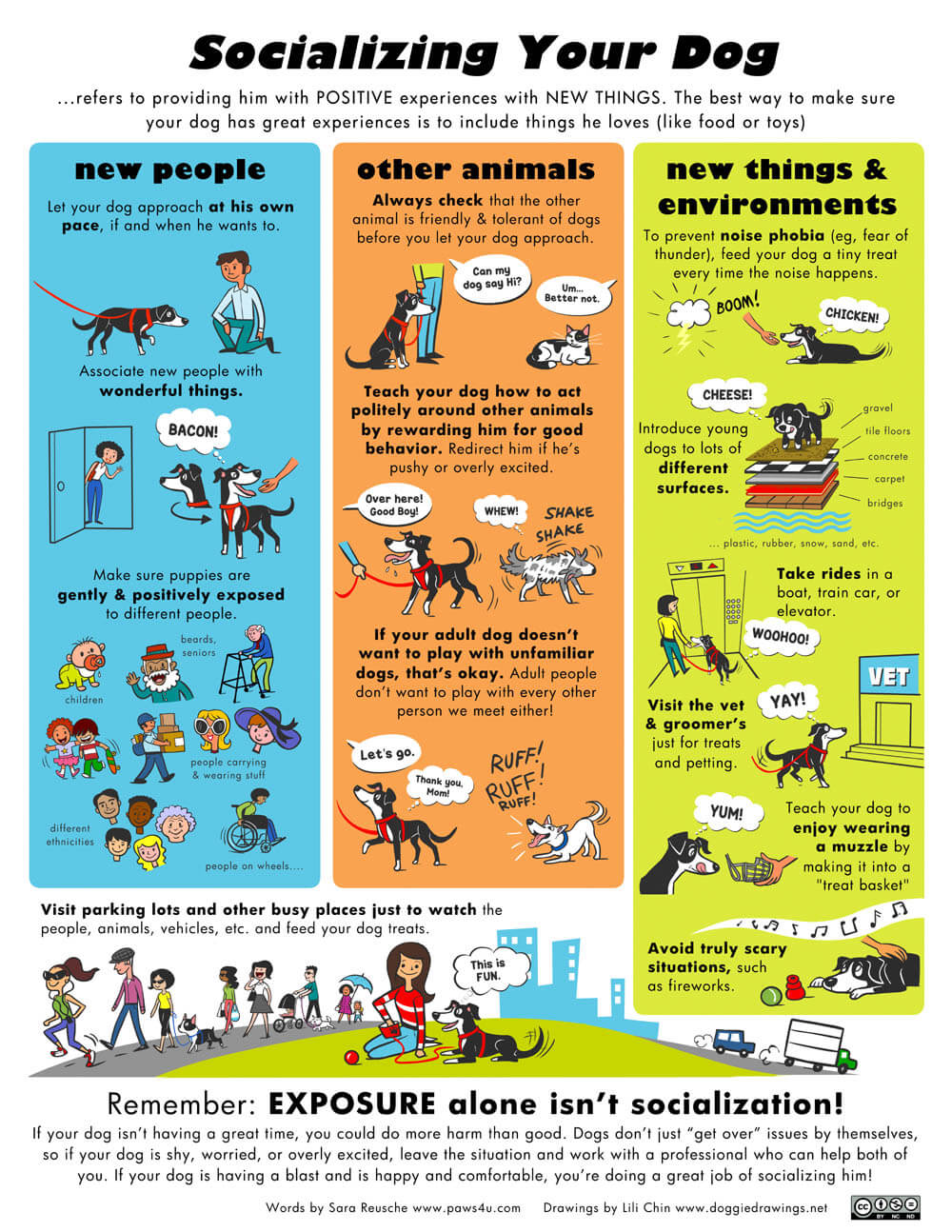 PUPPY SOCIALIZATION INFOGRAPHICS by Lili Chin