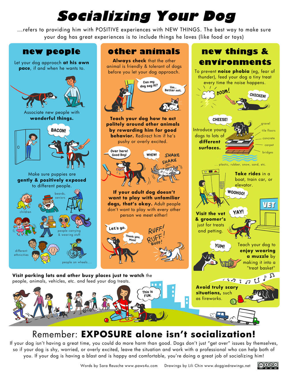 PUPPY SOCIALIZATION INFOGRAPHICS by Lili Chin