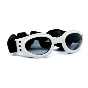 BEST SUNGLASSES FOR DOGS