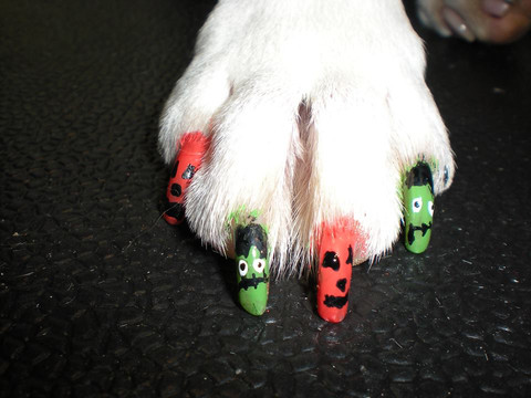 Dog Nails, Claws, Trimming and Clipping