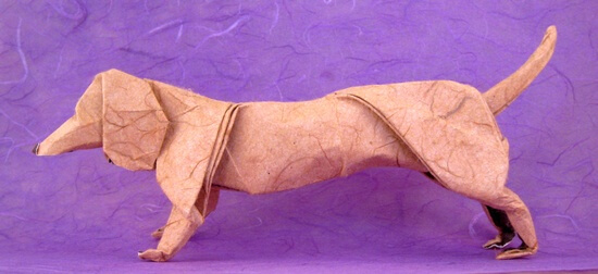Dachshund by Artur Biernacki(Press to Buy online this Origami Dog Template)