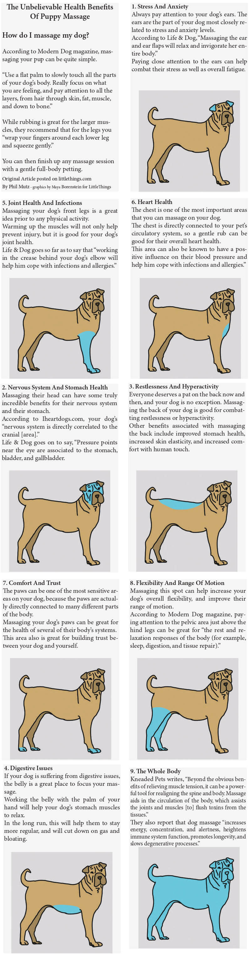 How to Massage a Dog √ Areas to & Relax Your Dog. Benefits of Dog Massage | DOGICA®