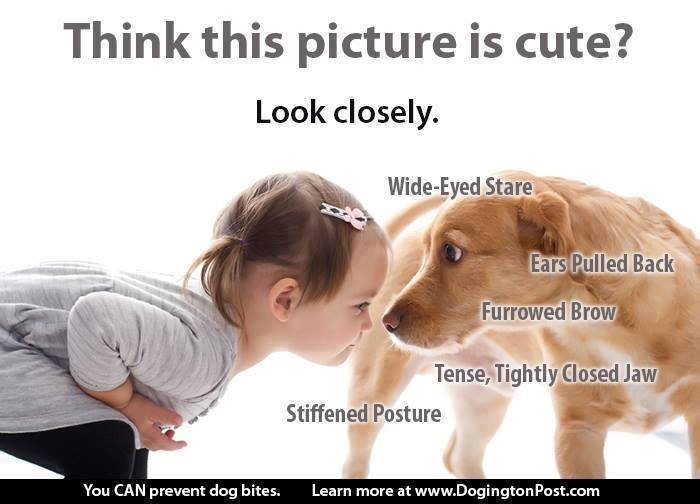 Dogs and kids, puppies and children