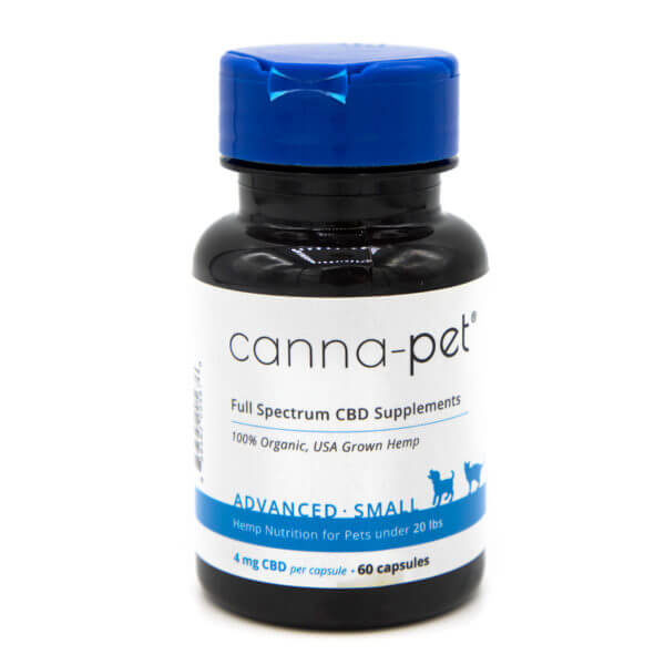 BEST CBD OIL FOR DOGS - REVIEWS